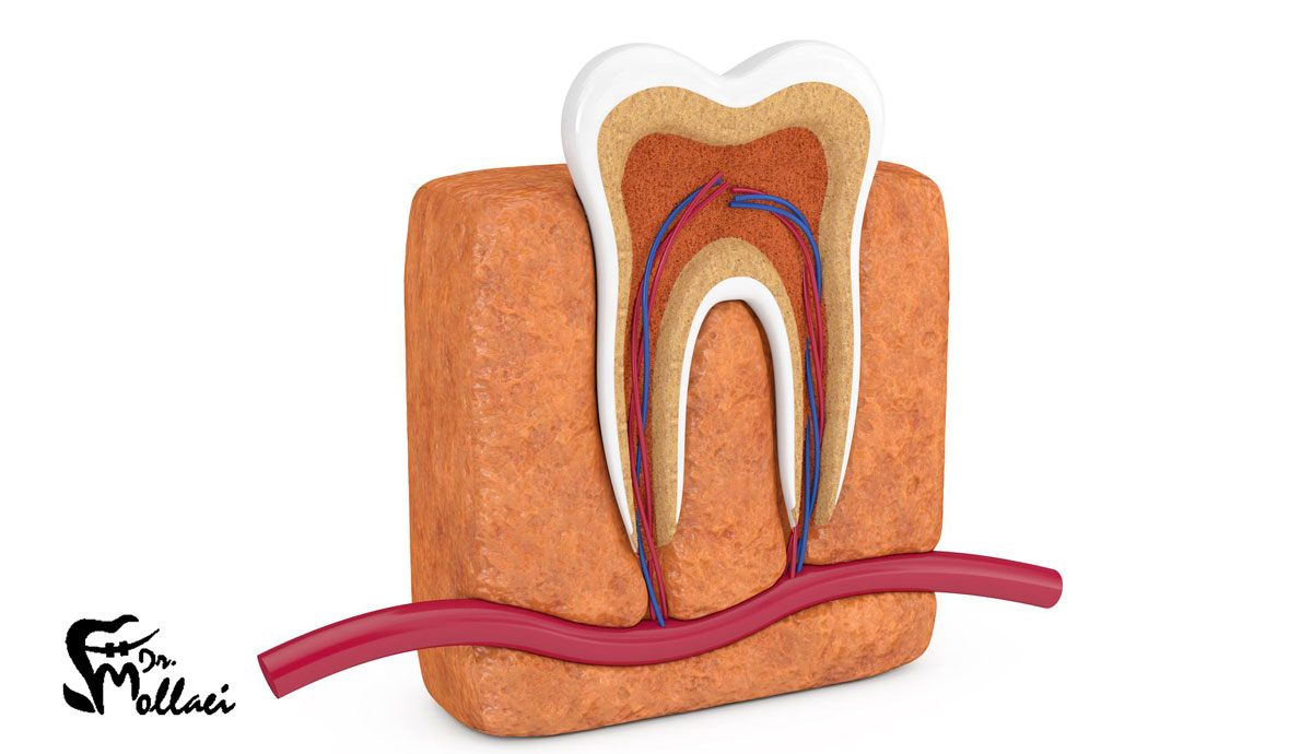 انواع روش های عصب کشی دندان چگونه است؟